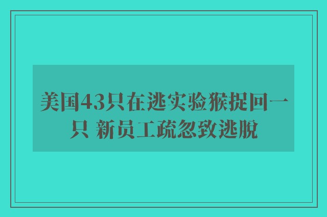 美国43只在逃实验猴捉回一只 新员工疏忽致逃脱