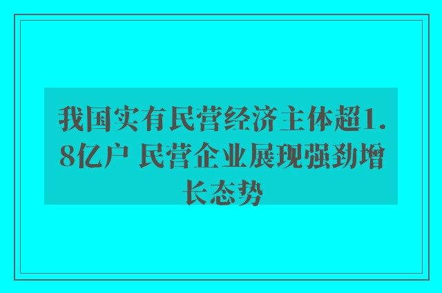 我国实有民营经济主体超1.8亿户 民营企业展现强劲增长态势