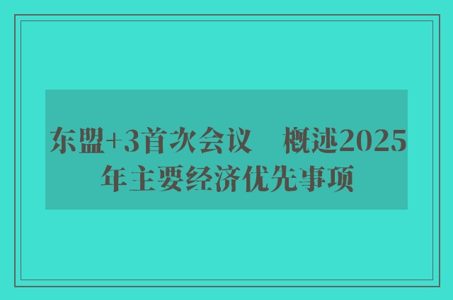 东盟+3首次会议　概述2025年主要经济优先事项