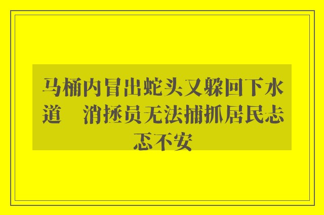 马桶内冒出蛇头又躲回下水道　消拯员无法捕抓居民忐忑不安